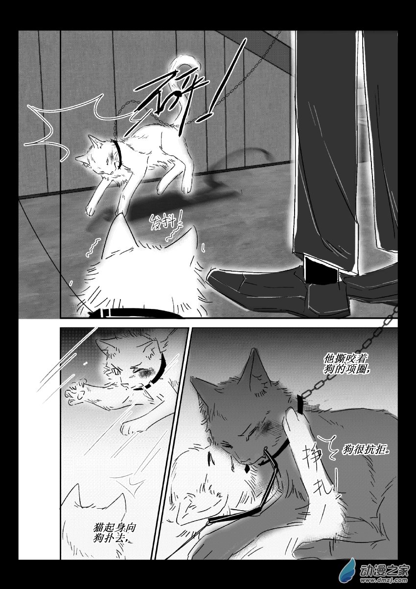 第37话 猫和狗和人（二）-第36话
