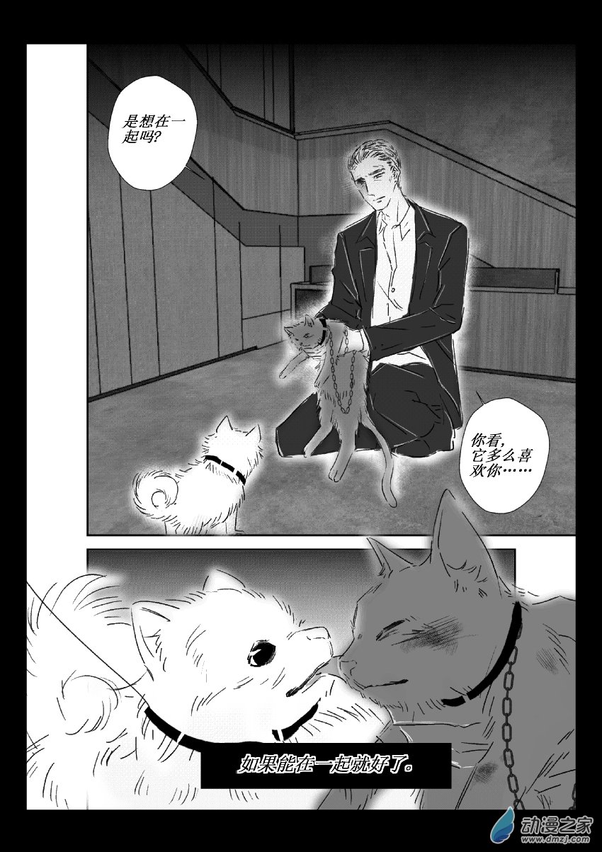 第37话 猫和狗和人（二）-第36话