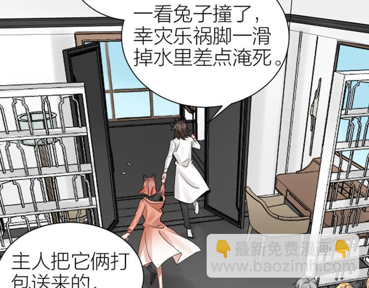 🍴降智小甜饼 第270-271话 真实身份 第10页