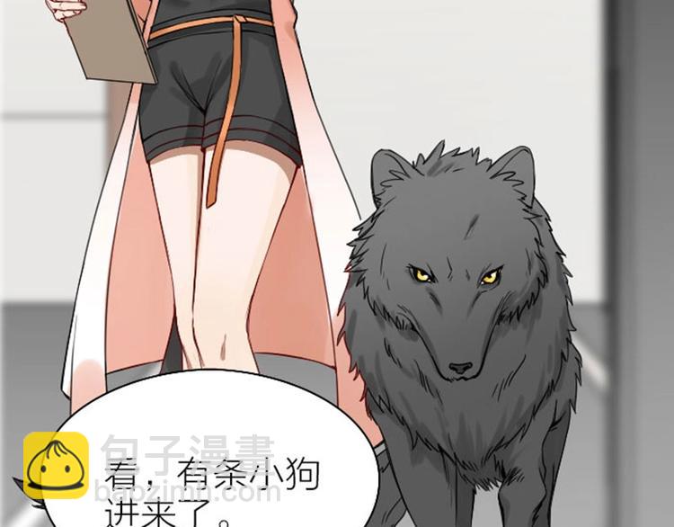 🍴降智小甜饼 第101-103话 其乐融融 第43页