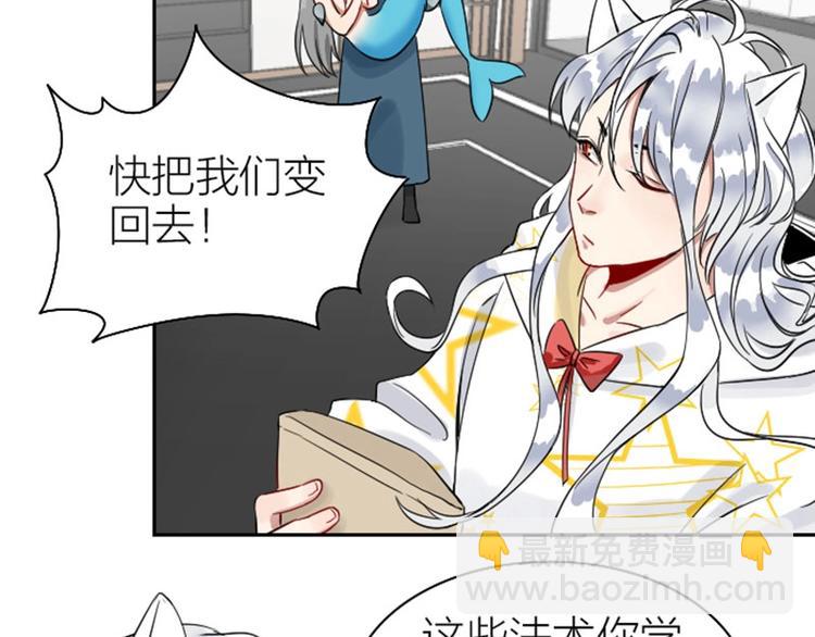 🍴降智小甜饼 第116-117话 法术 第44页
