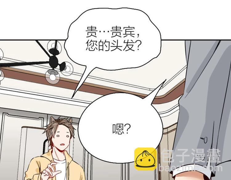🍴降智小甜饼 第146话-第147话 变光头 第34页