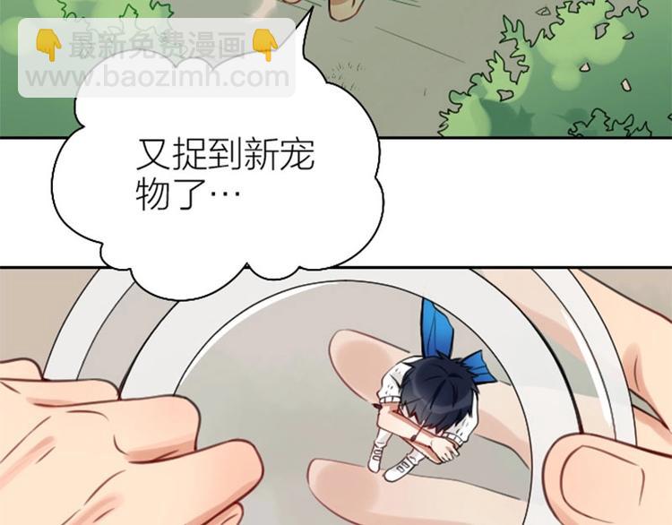 🍴降智小甜饼 第166-第167话 失忆粉 第5页