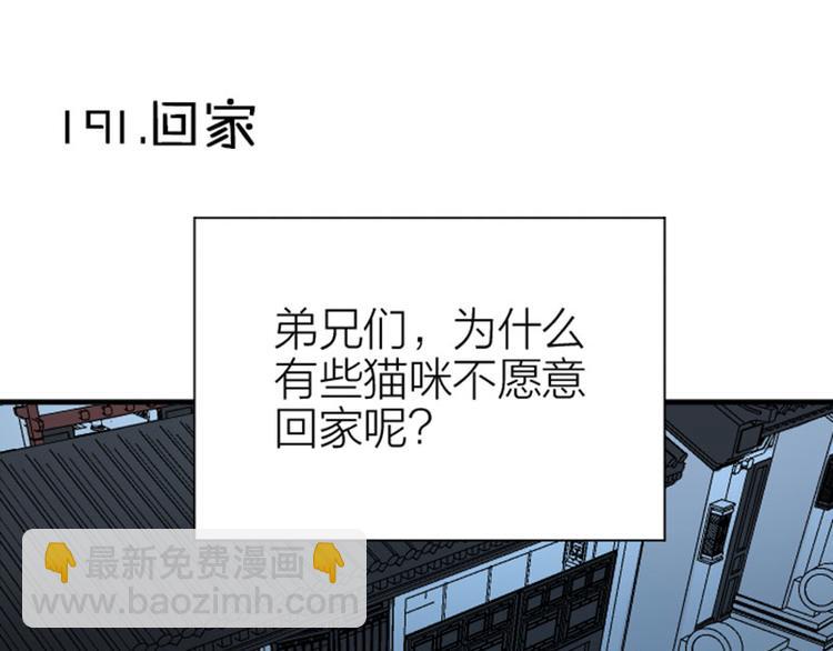 🍴降智小甜饼 第190-191话 喵生滑铁卢 第31页