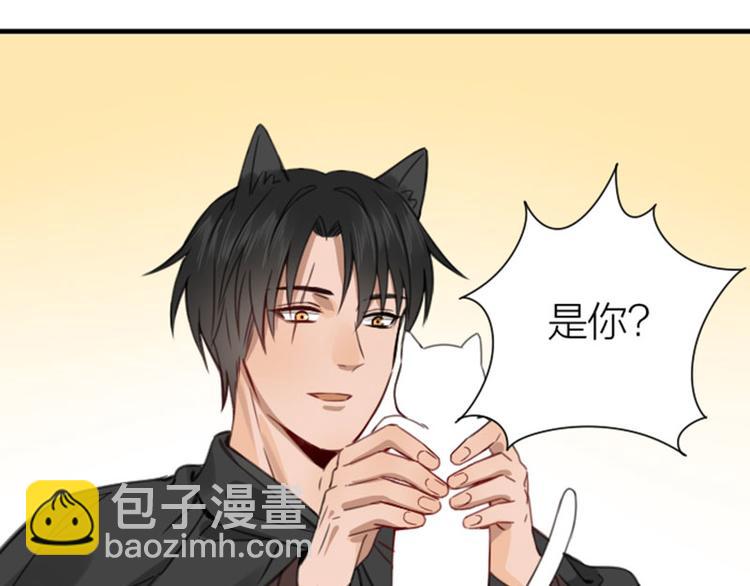 🍴降智小甜饼 第190-191话 喵生滑铁卢 第44页