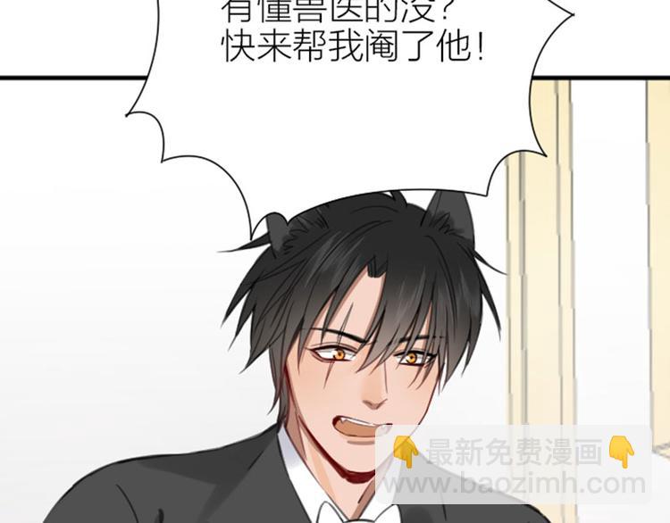 🍴降智小甜饼 第190-191话 喵生滑铁卢 第50页