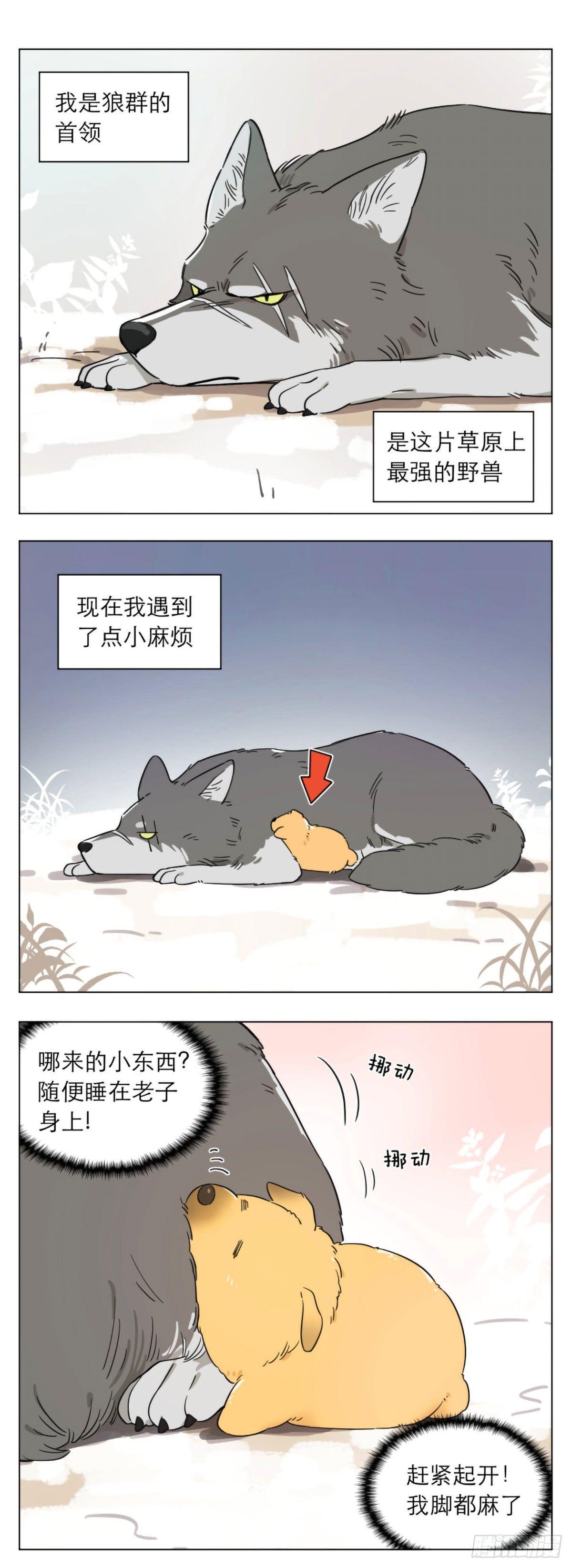 狼王捡到只小奶狗 ​​​-第2话