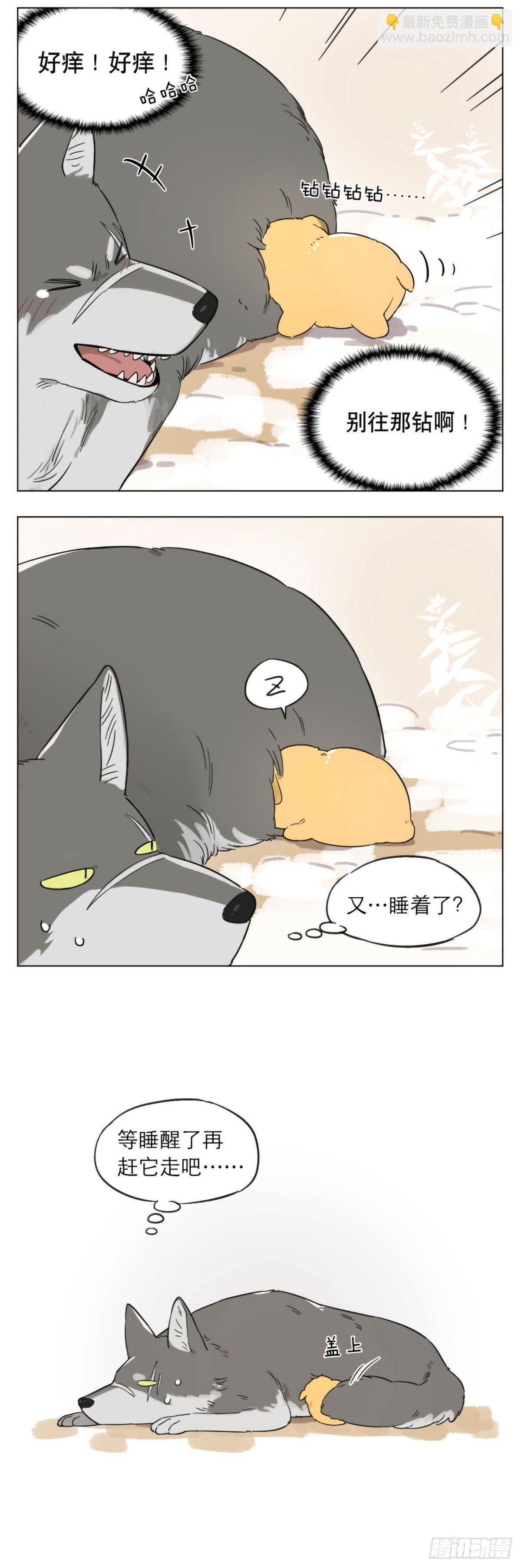 狼王捡到只小奶狗 ​​​-第2话