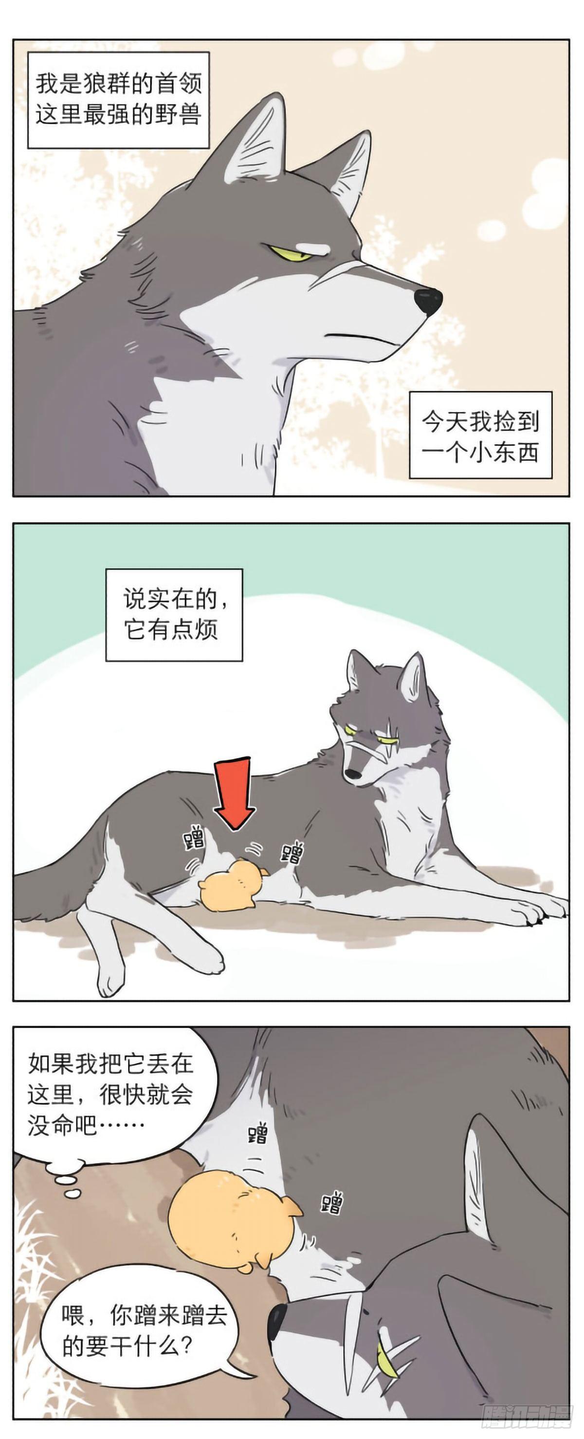 捡到的奶狗有点烦-第4话