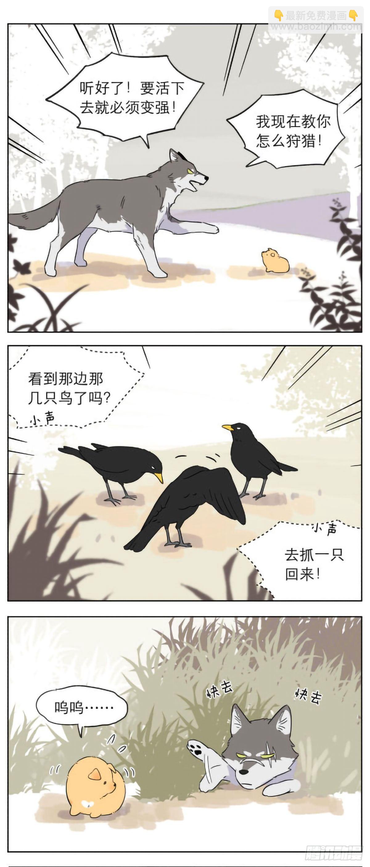 捡到的奶狗有点烦-第4话