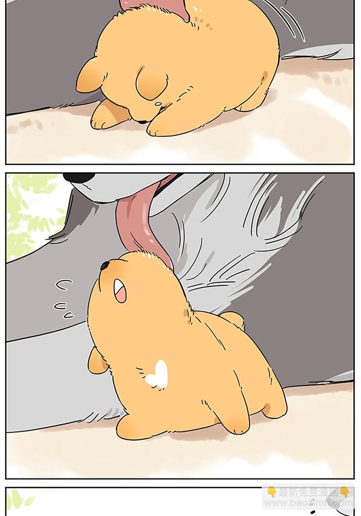 画一点狗狗-第86话