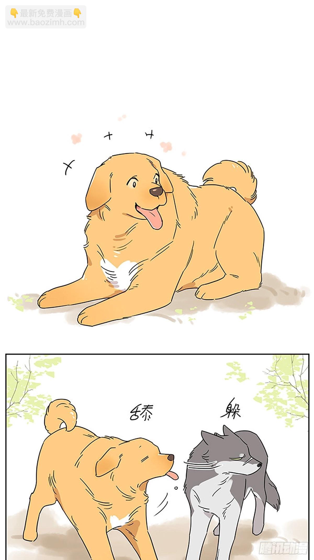画一点狗狗-第86话