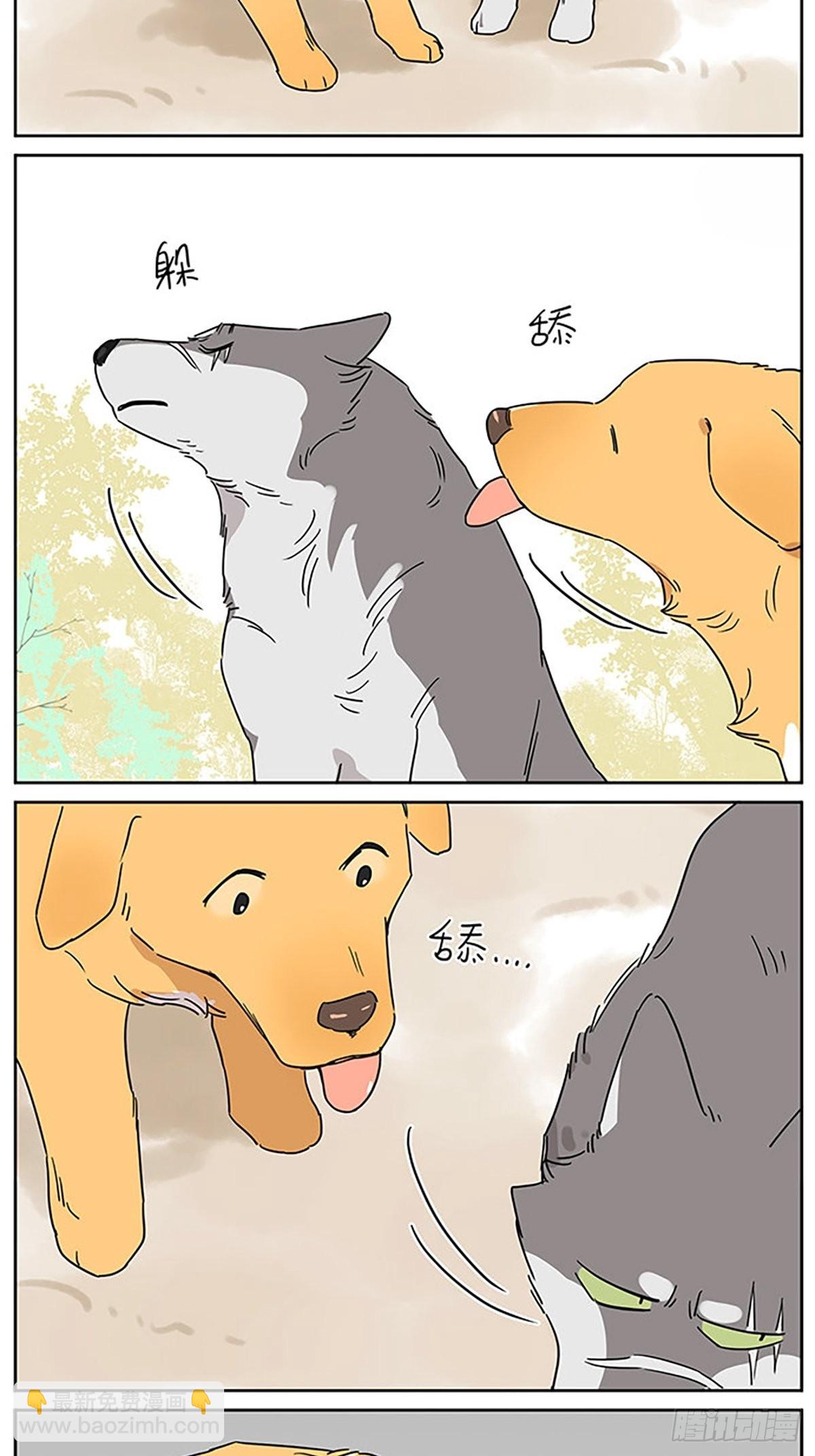 画一点狗狗-第86话