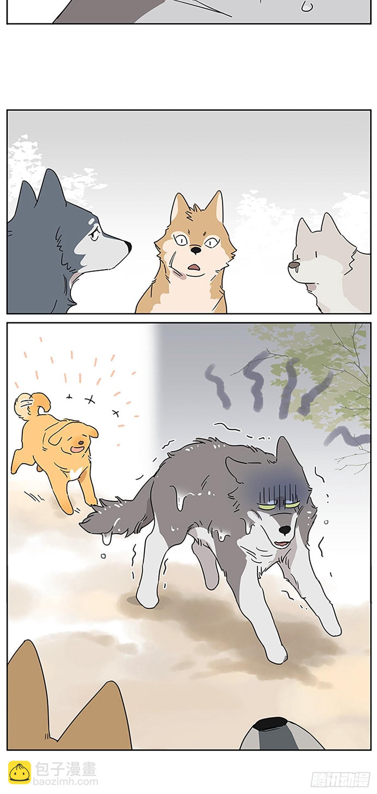 画一点狗狗-第86话