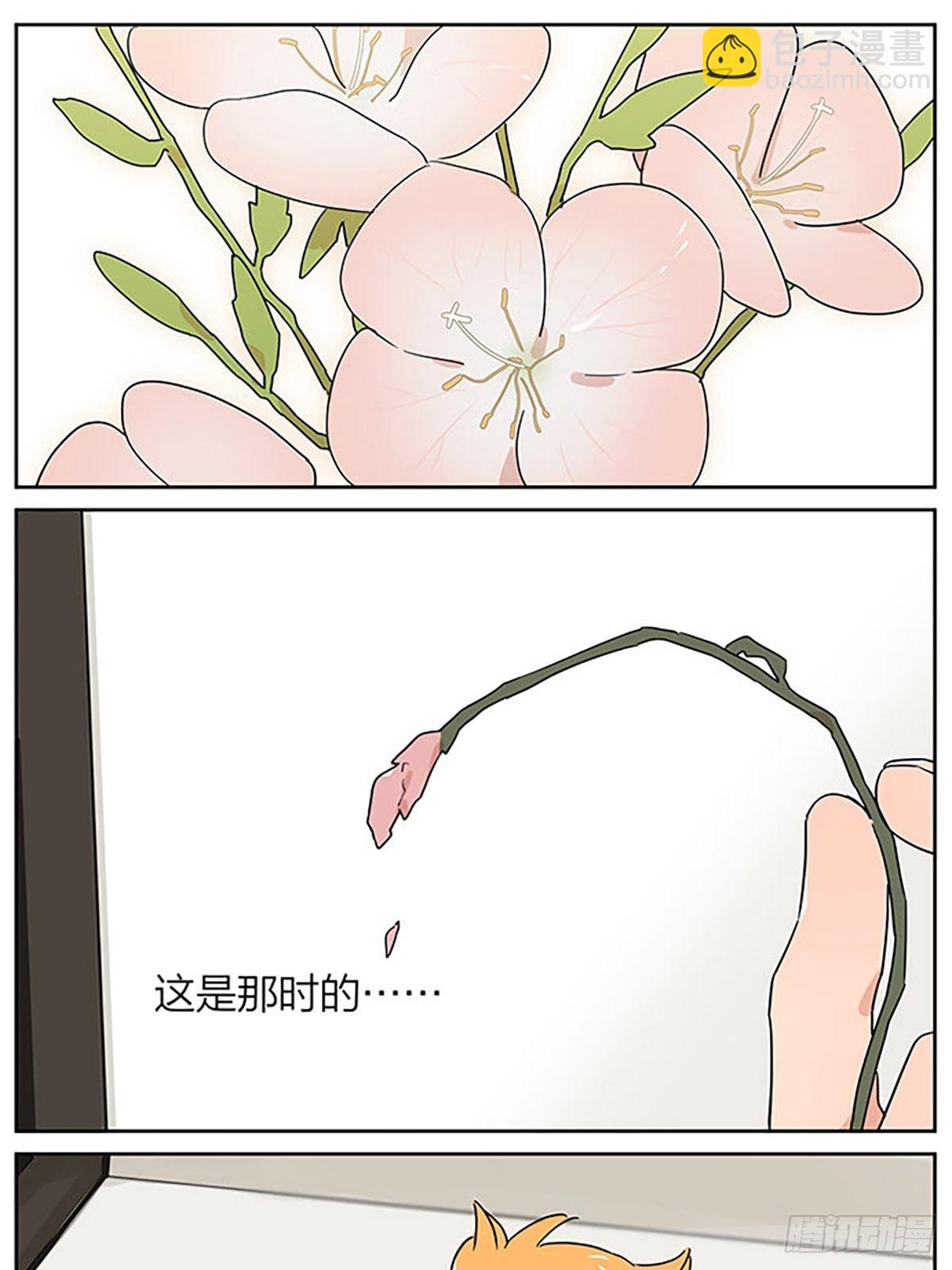 秘密-第88话
