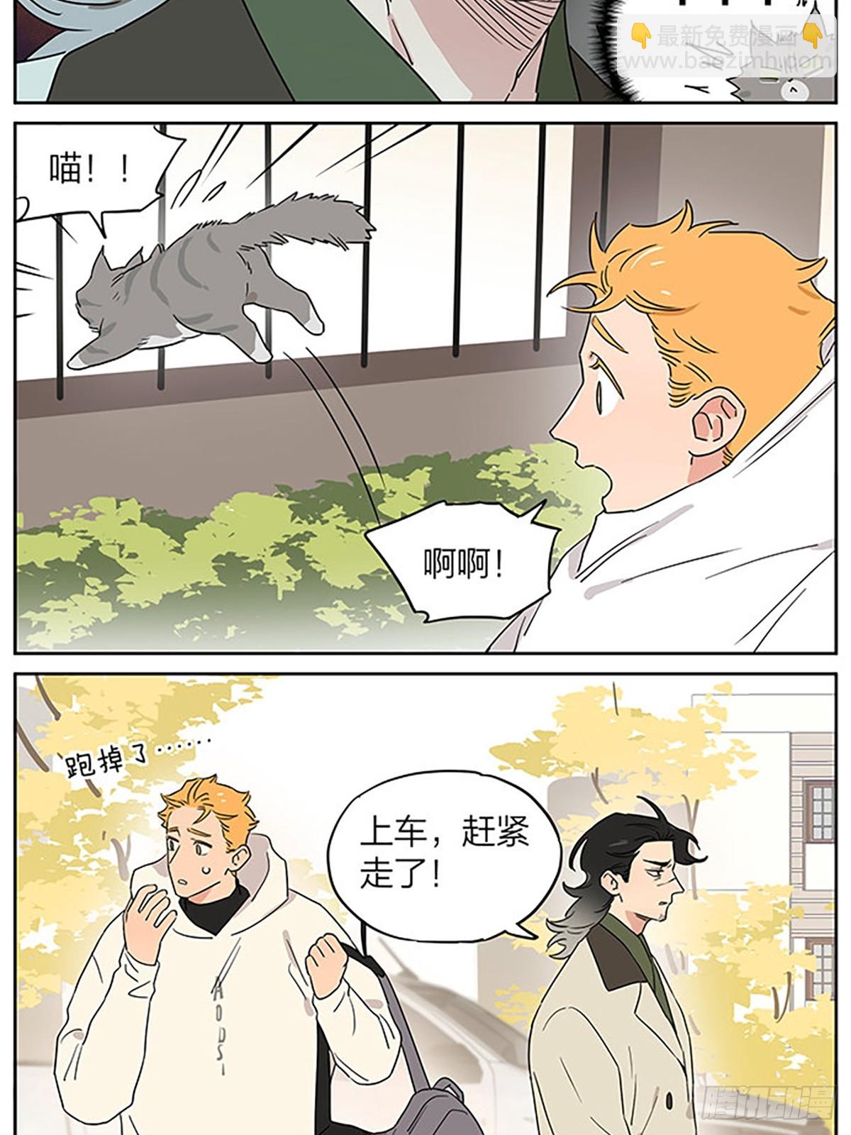 撸猫-第96话