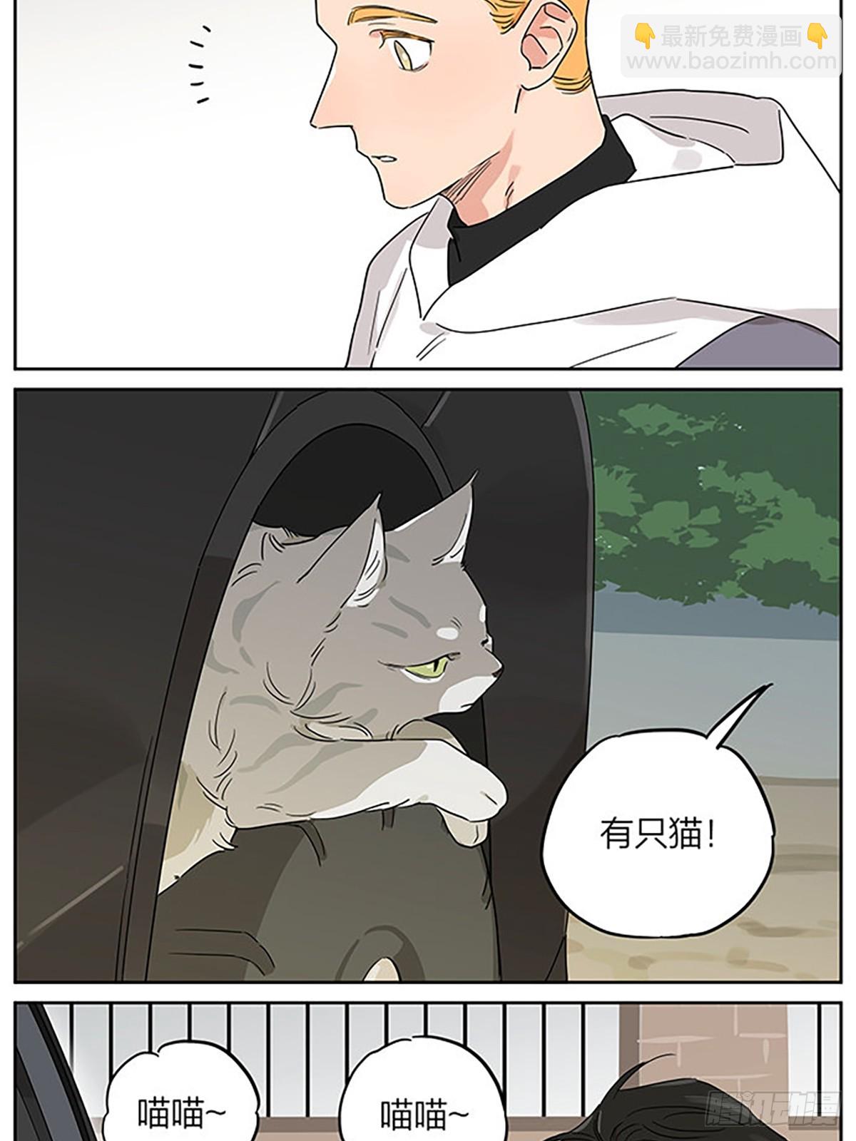 撸猫-第96话