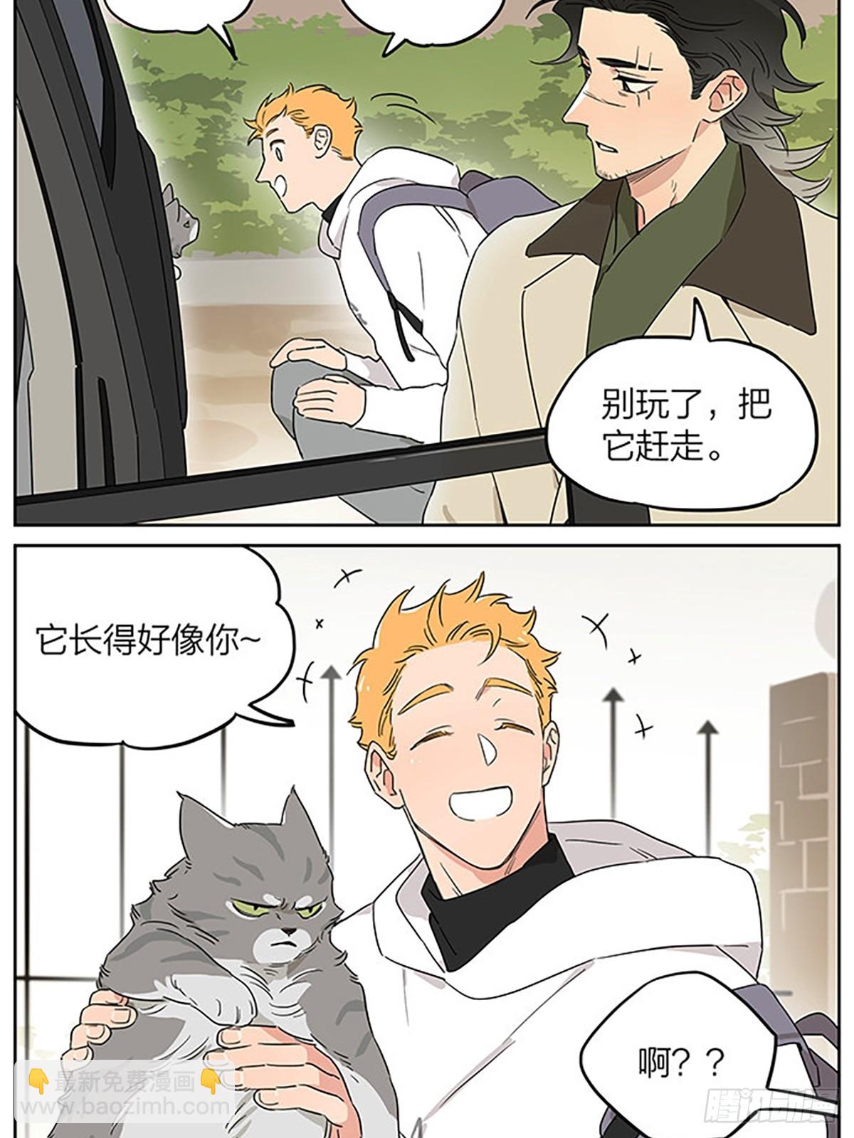 撸猫-第96话