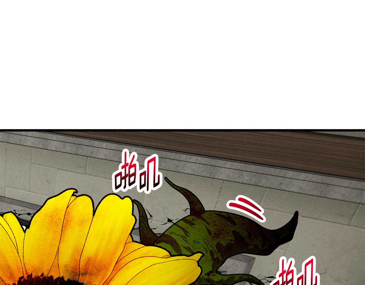 第54话 花儿攻击研究院(1/4)-第54话