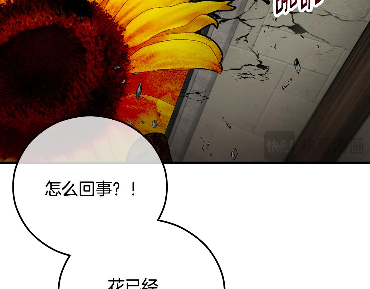 第54话 花儿攻击研究院(1/4)-第54话