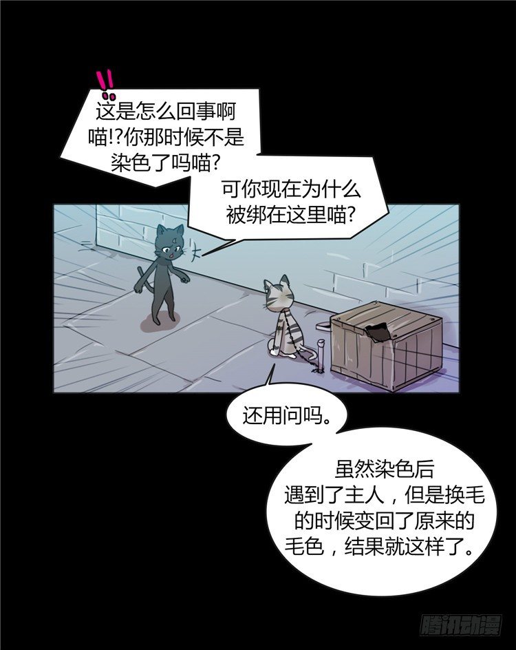 姜致 - 亚喵 4-第20话