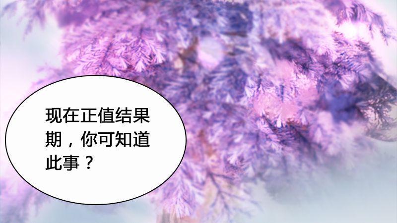 第3话：天晶令(1/2)-第4话