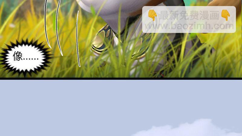第35话：最后的考核(1/2)-第36话