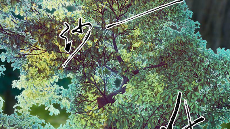 第41话：仙盟总部(1/2)-第42话