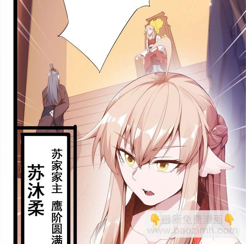 赘婿登门！(1/4)-第2话