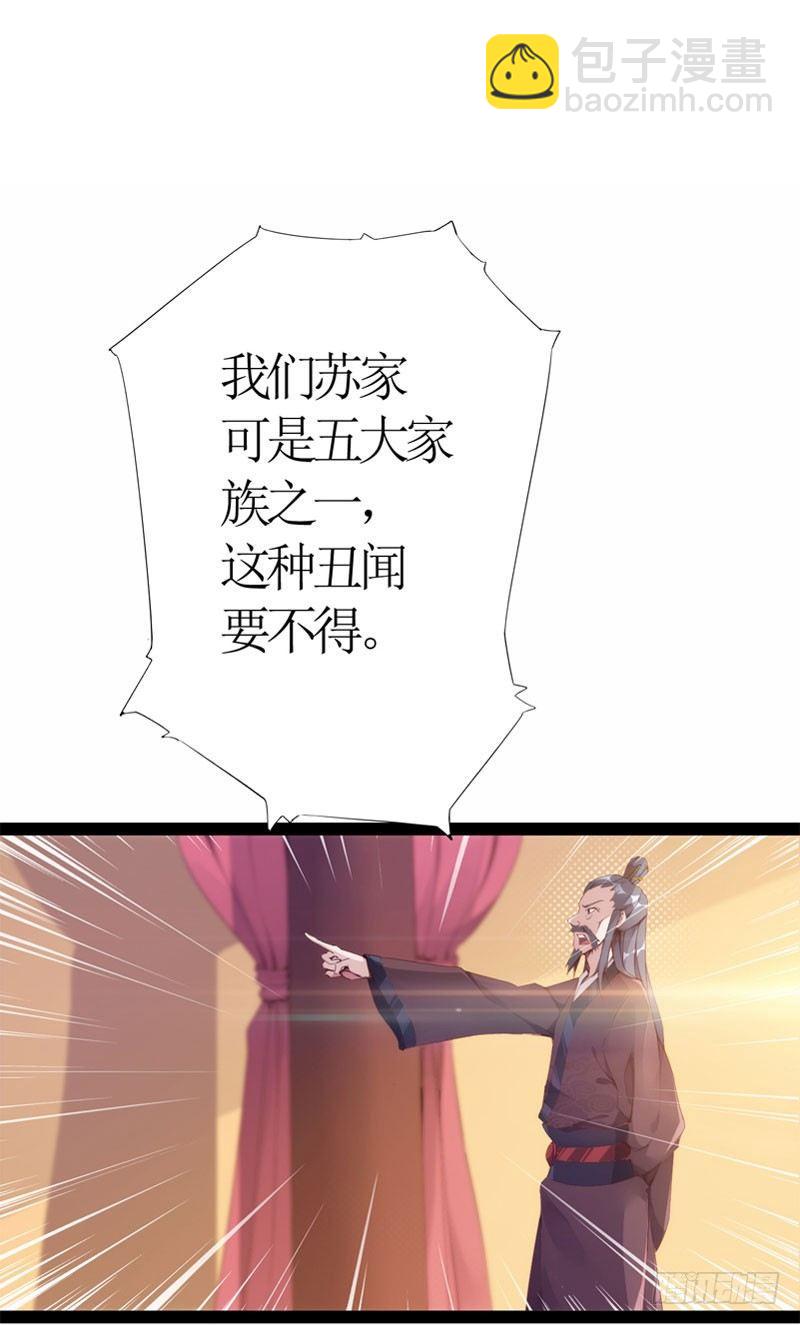 赘婿登门！(1/4)-第2话
