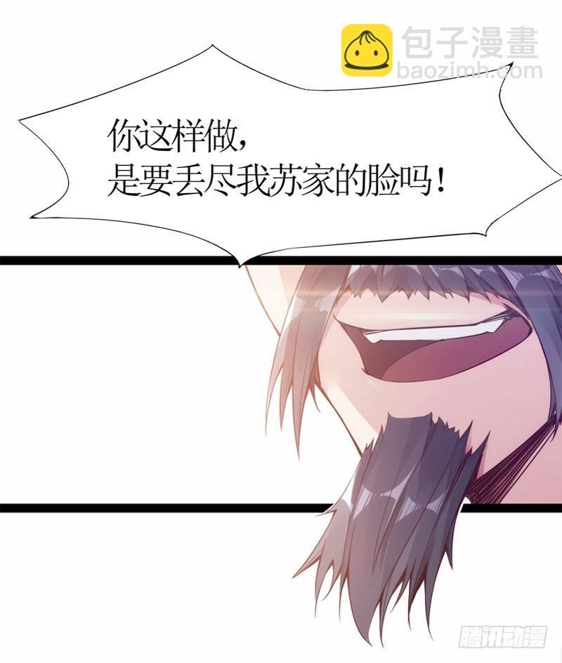 赘婿登门！(1/4)-第2话