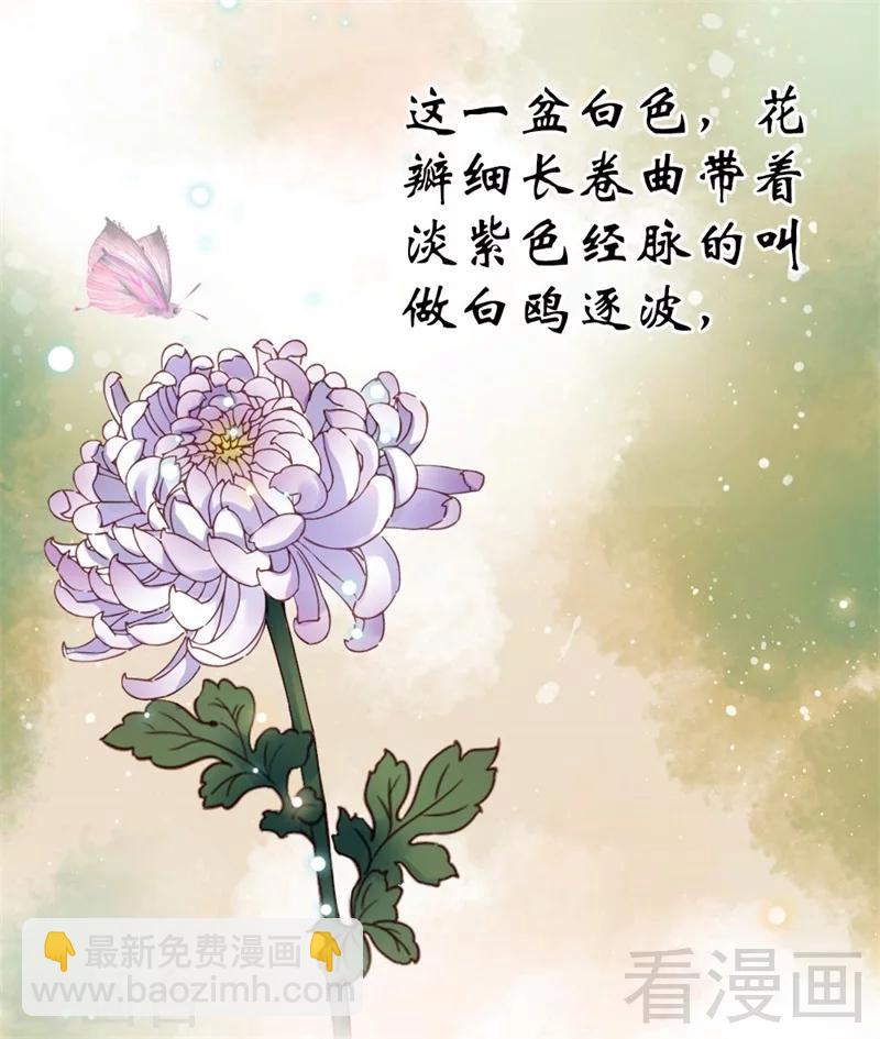 第195话-第200话