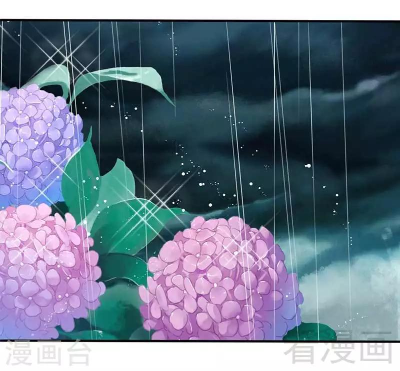 第41话-第44话