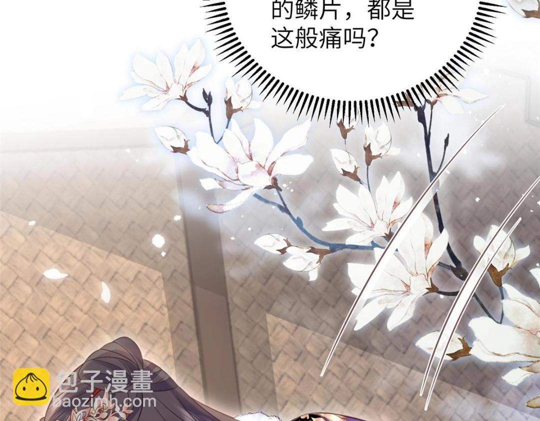 048 一生只向一人求爱(1/2)-第50话