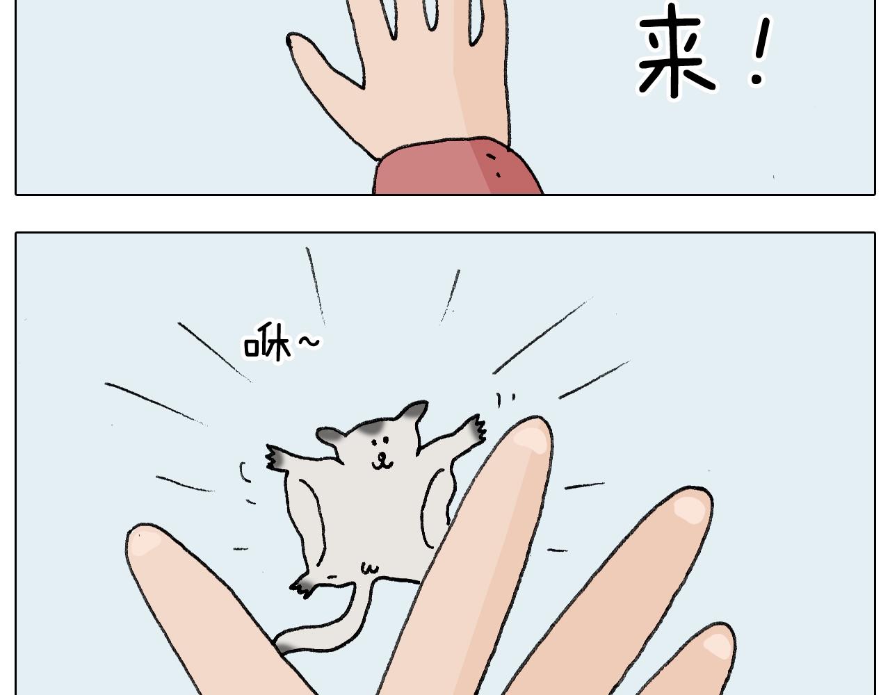 第253话 动物之友(1/2)-第254话