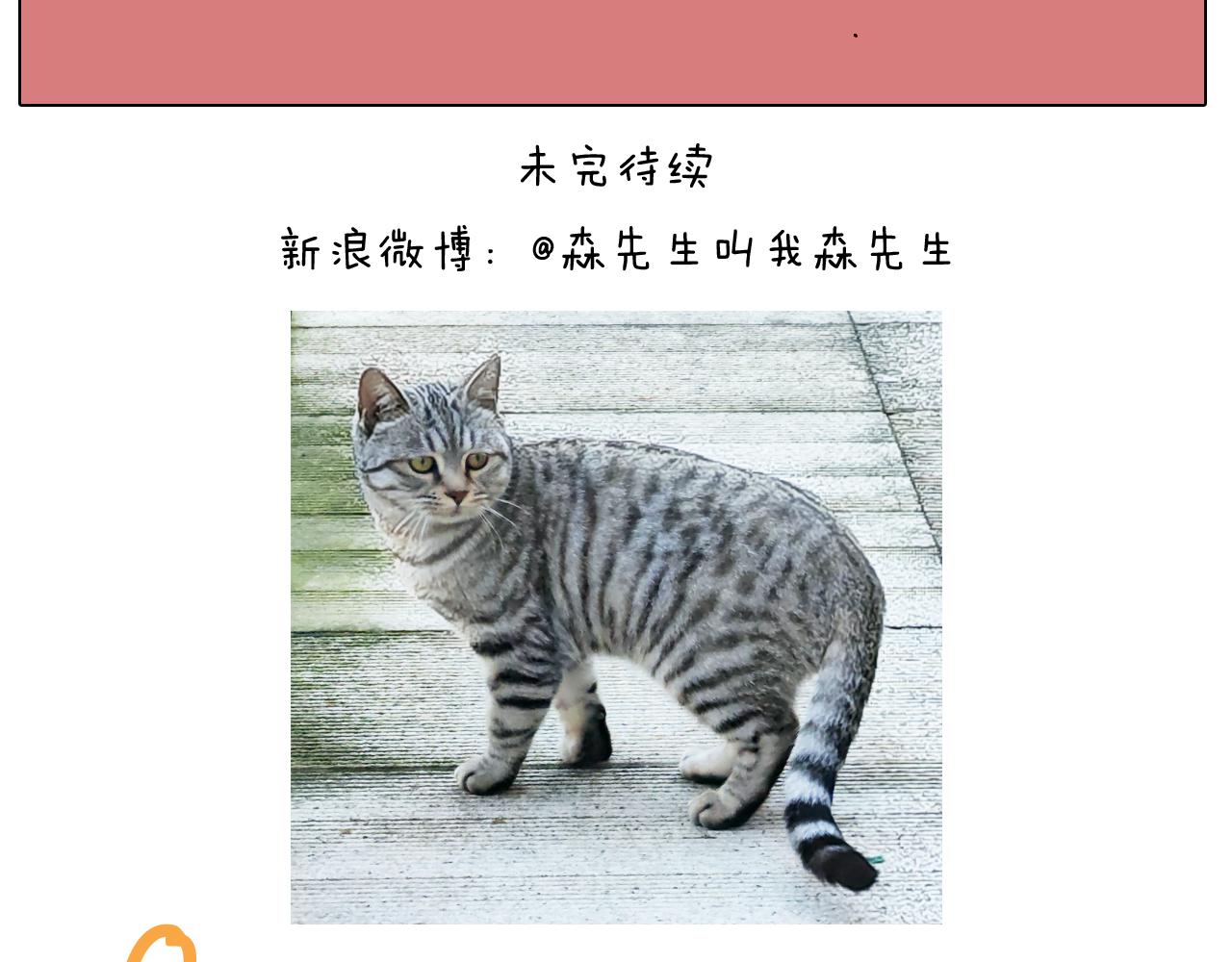 第421话 与猫大战-第420话
