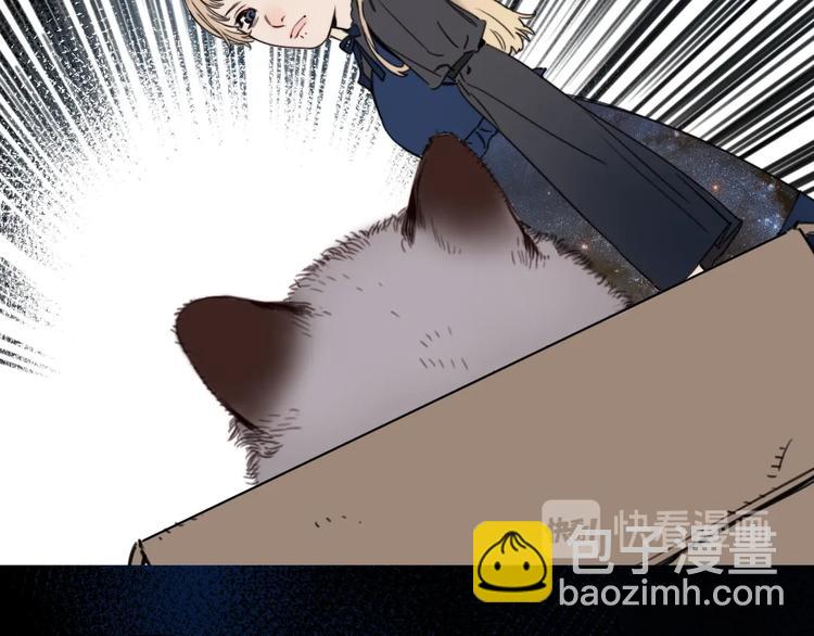 第12话 少女和猫咪(1/2)-第16话