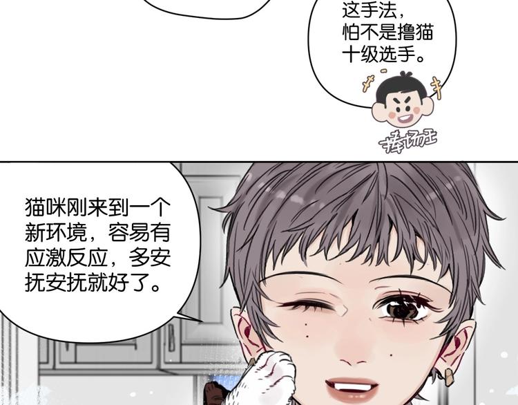 第14话 少女的愿望(1/2)-第18话
