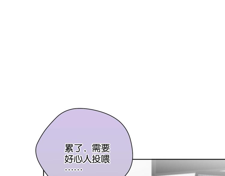 第39话 小笨蛋？！(1/2)-第44话