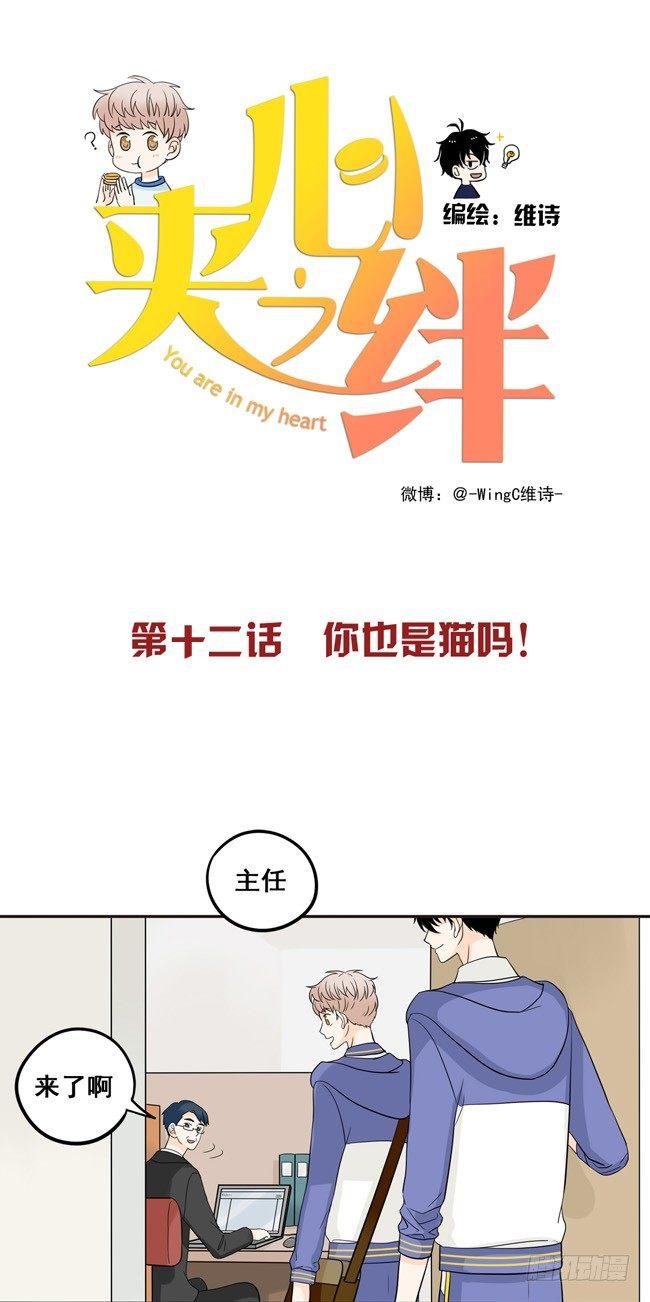 12 你也是猫吗！-第12话