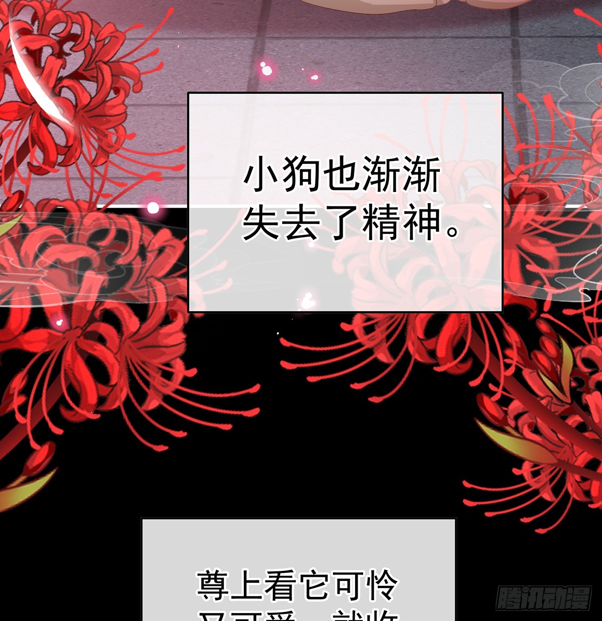 你就是那只狗！(1/2)-第138话