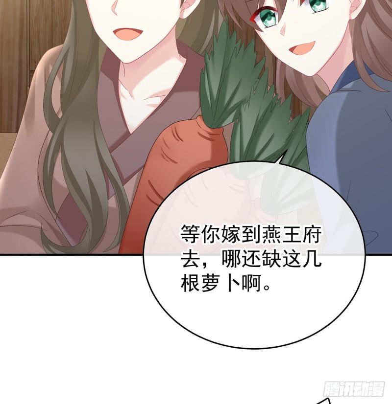 番外：诺诺的后宫(1/2)-第60话