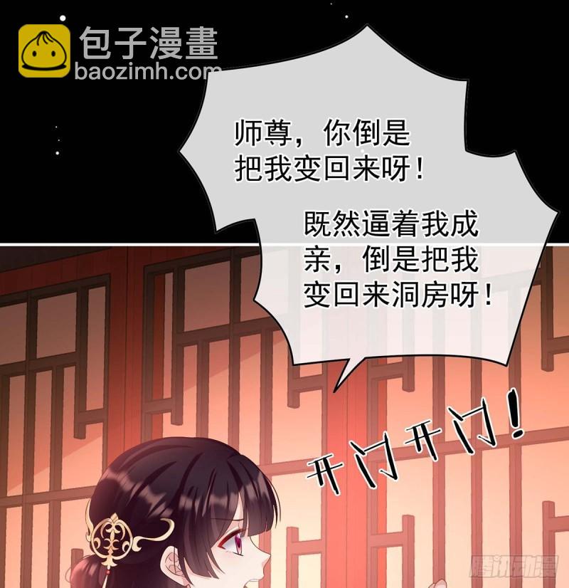 成亲(1/2)-第78话