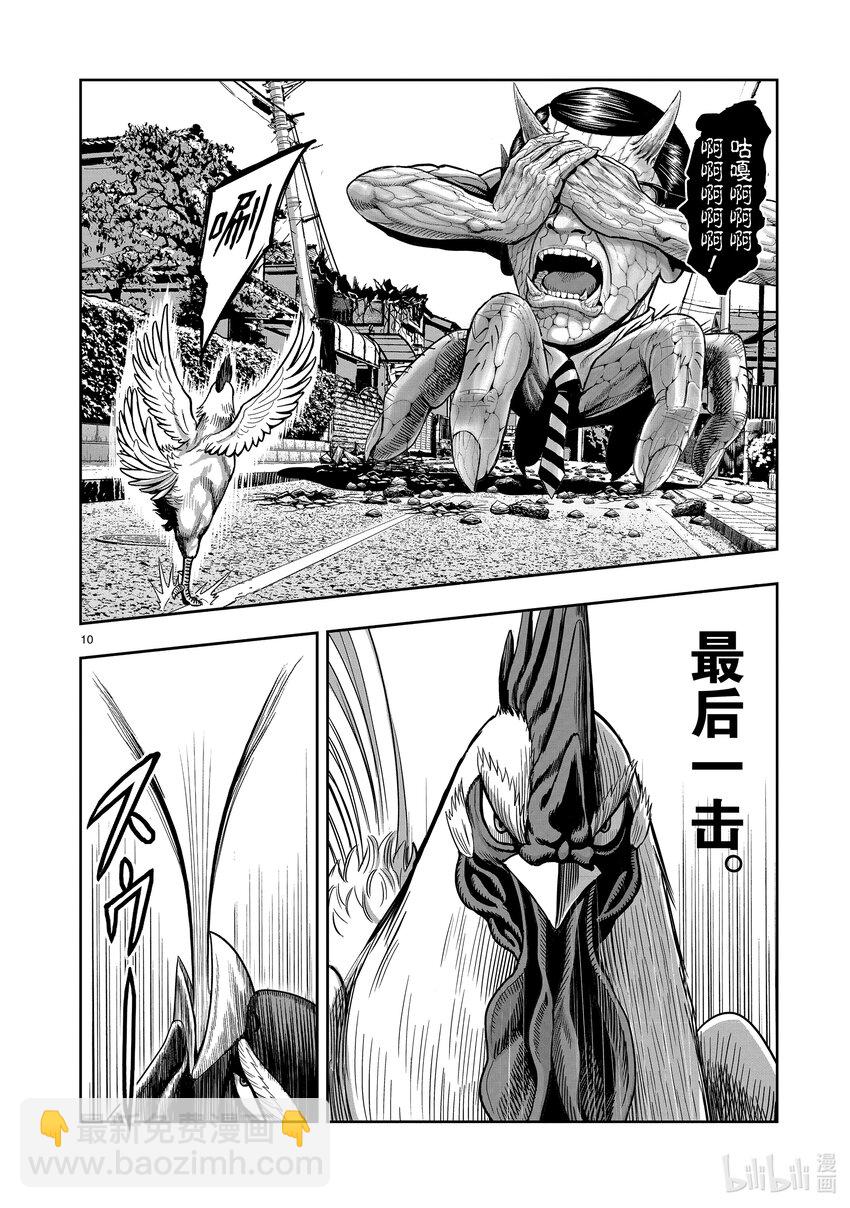 🍴鸡斗士 第2只 云散鸟没 第10页