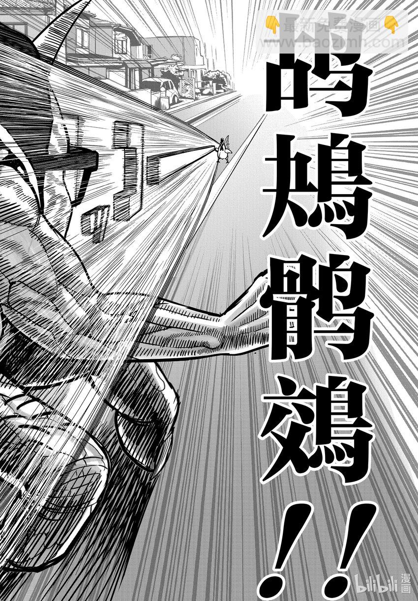 🍴鸡斗士 第2只 云散鸟没 第12页