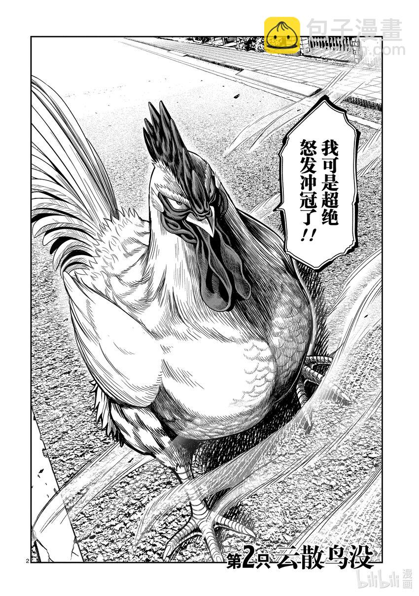 🍴鸡斗士 第2只 云散鸟没 第2页