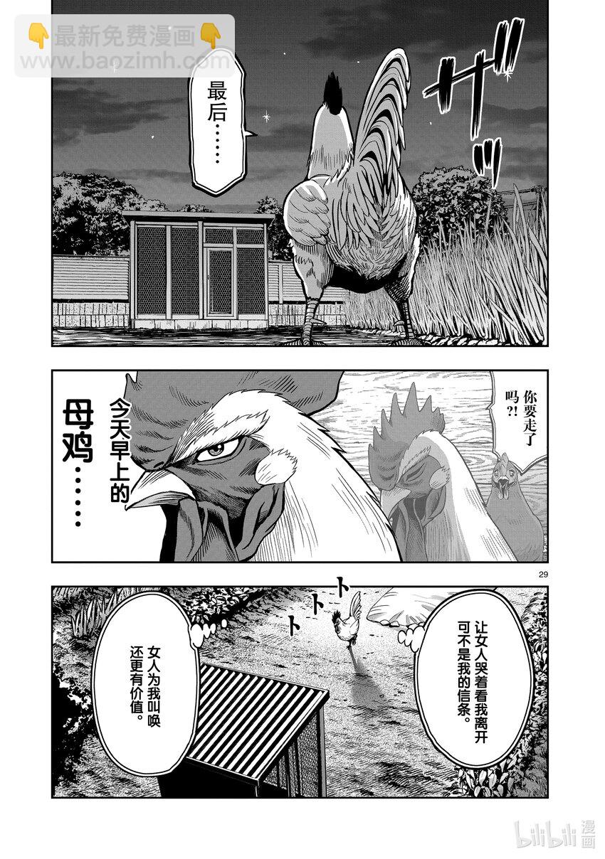🍴鸡斗士 第2只 云散鸟没 第29页
