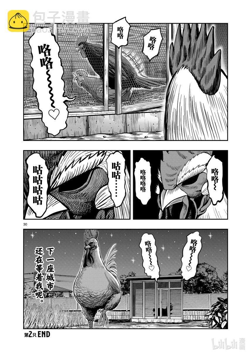 🍴鸡斗士 第2只 云散鸟没 第30页