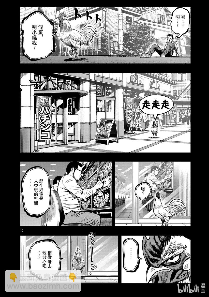 🍴鸡斗士 第12只 池鱼笼鸟 第10页