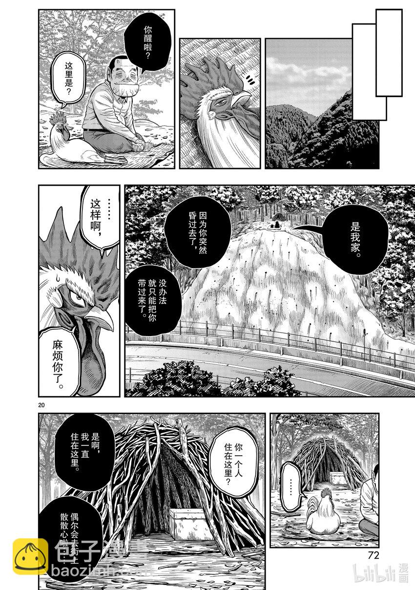 🍴鸡斗士 第12只 池鱼笼鸟 第20页